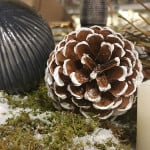 Graue Weihnachtskugel mit Tannenzapfen und Kerze auf Schnee-Moß-Dekoration